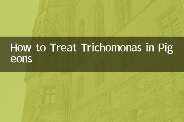 비둘기의 트리코모나스를 치료하는 방법
