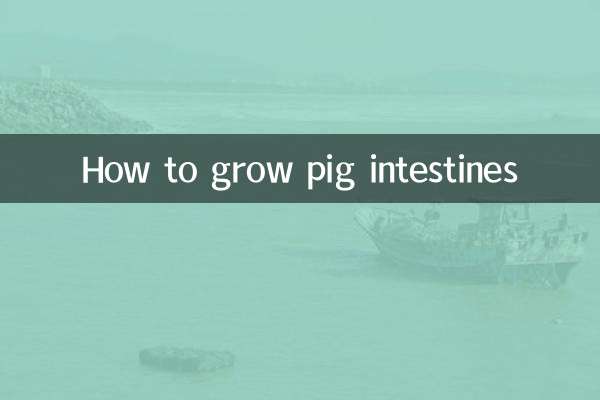 Como fazer crescer intestino de porco