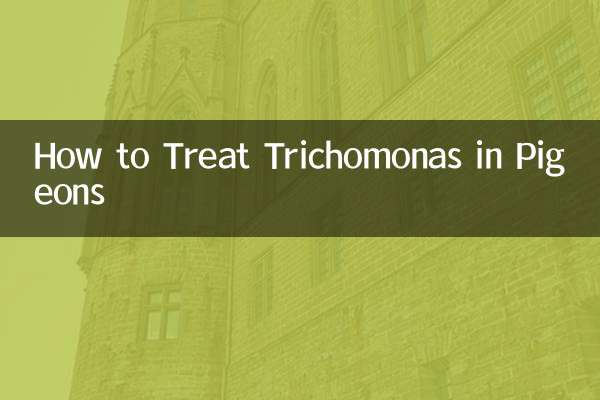 비둘기의 트리코모나스를 치료하는 방법