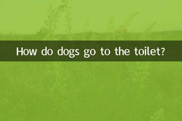 How do dogs go to the toilet?