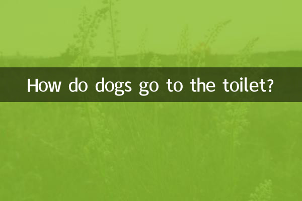 How do dogs go to the toilet?