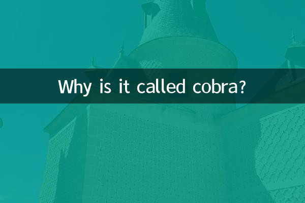 Why is it called cobra?
