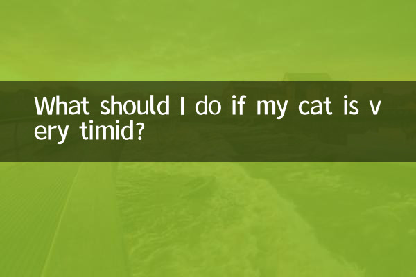 What should I do if my cat is very timid?