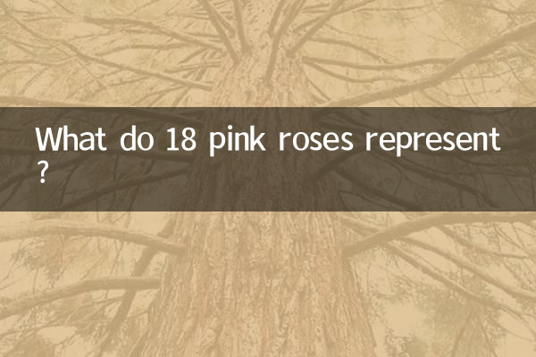 What do 18 pink roses represent?