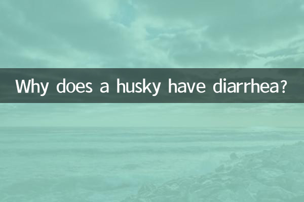 Why does a husky have diarrhea?