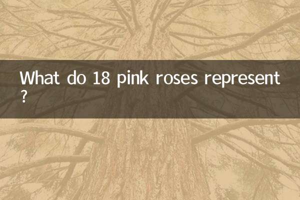 What do 18 pink roses represent?