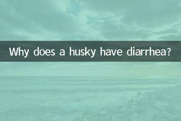 Why does a husky have diarrhea?