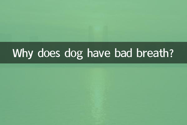 کتے کی سانس کیوں ہے؟