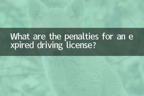 Welche Strafen drohen bei abgelaufenem Führerschein?