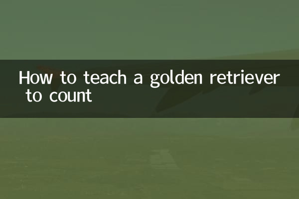 गोल्डन रिट्रीवर को गिनती करना कैसे सिखाएं