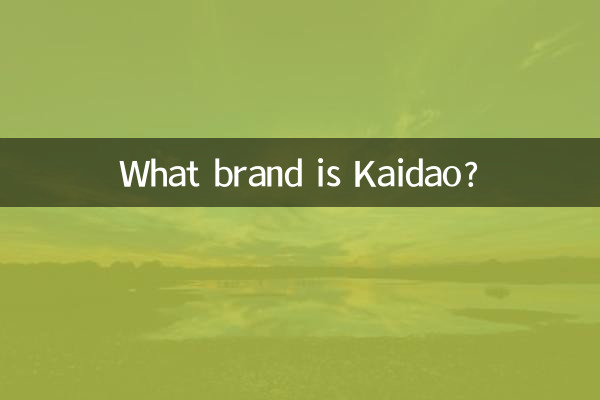 카이다오(Kaidao)는 어떤 브랜드인가요?
