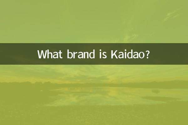 카이다오(Kaidao)는 어떤 브랜드인가요?