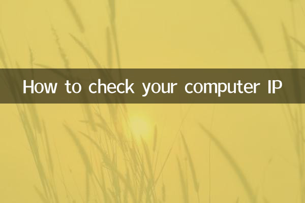 Come controllare l'IP del tuo computer