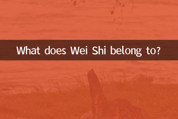 К чему принадлежит Вэй Ши?