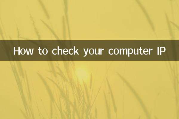 Come controllare l'IP del tuo computer