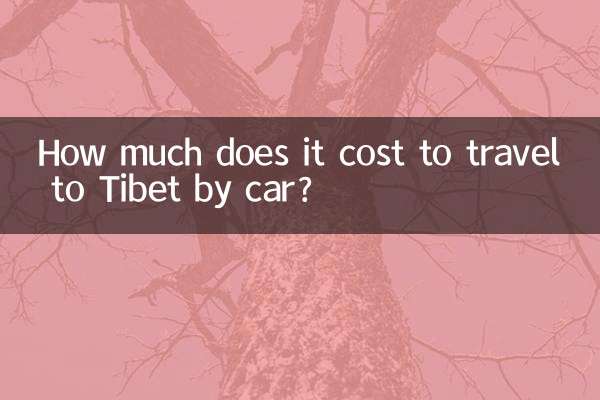 티베트까지 자동차로 여행하는 데 드는 비용은 얼마입니까?