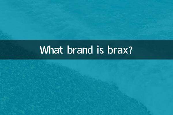브락스는 어떤 브랜드인가요?