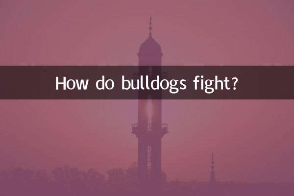 بولداگ ها چگونه می جنگند؟