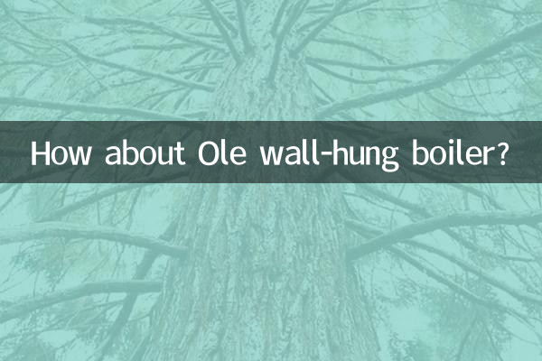 Et la chaudière murale Ole ?