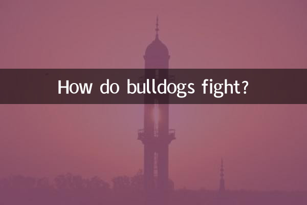 كيف تقاتل البلدغ؟