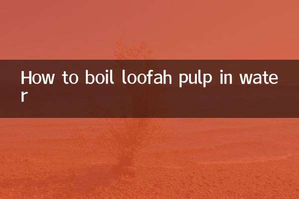 Comment faire bouillir la pulpe de luffa dans l'eau