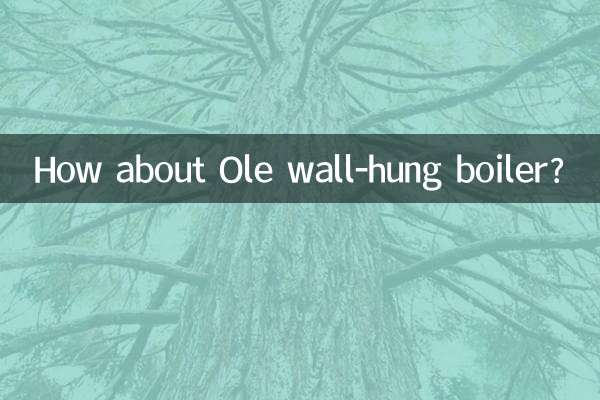 Et la chaudière murale Ole ?