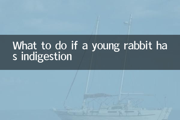 幼兔消化不良怎么办