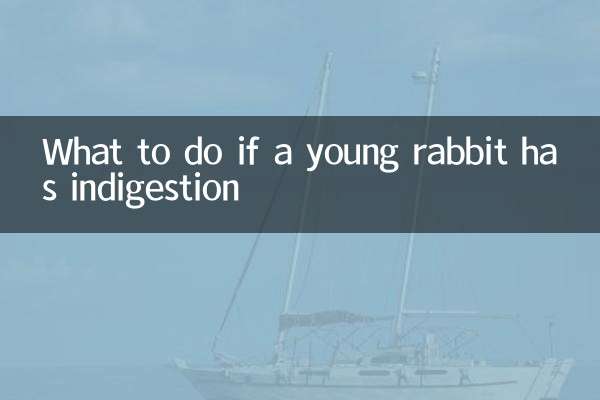 幼兔消化不良怎么办