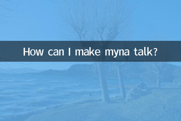 Come posso far parlare miana?