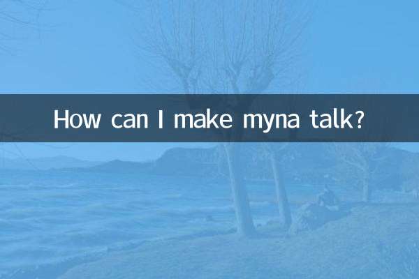 Come posso far parlare miana?