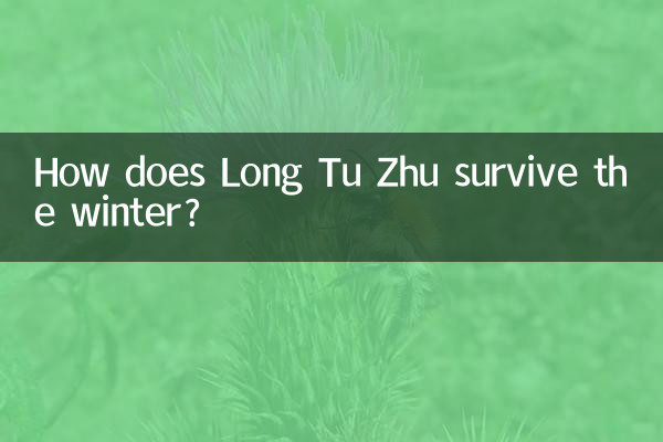 Как Лун Ту Чжу переживает зиму?