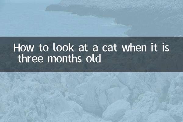 Как смотреть на кота в три месяца