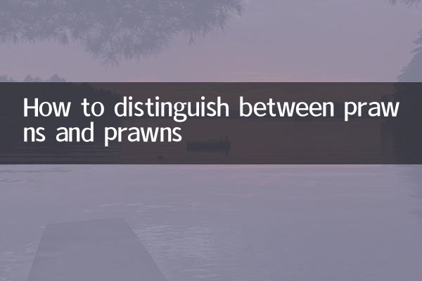 Wie man zwischen Garnelen und Garnelen unterscheidet