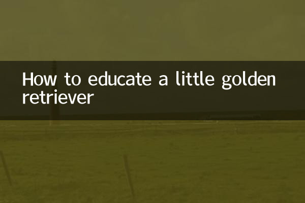 Come educare un piccolo Golden Retriever