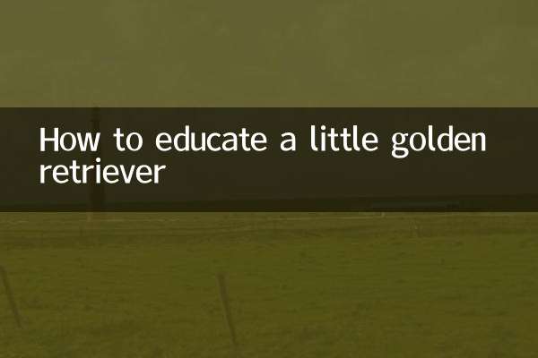 একটু গোল্ডেন রিট্রিভার শিক্ষিত কিভাবে