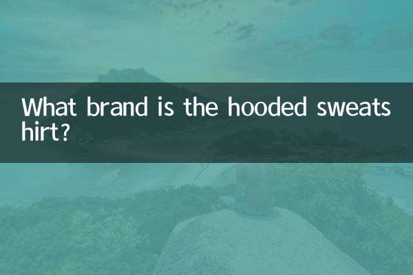 Von welcher Marke ist das Kapuzensweatshirt?