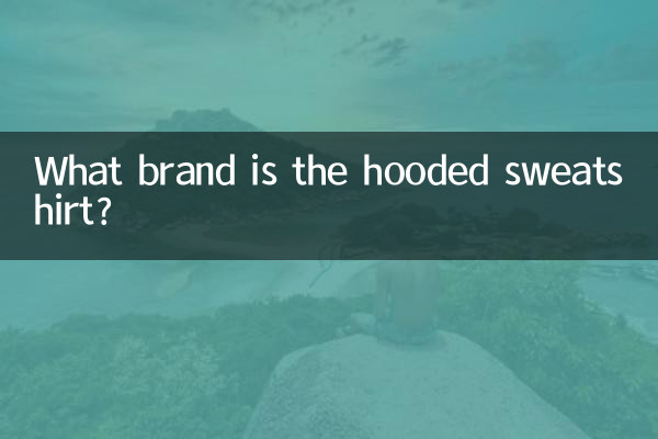 হুডযুক্ত সোয়েটশার্ট কি ব্র্যান্ডের?