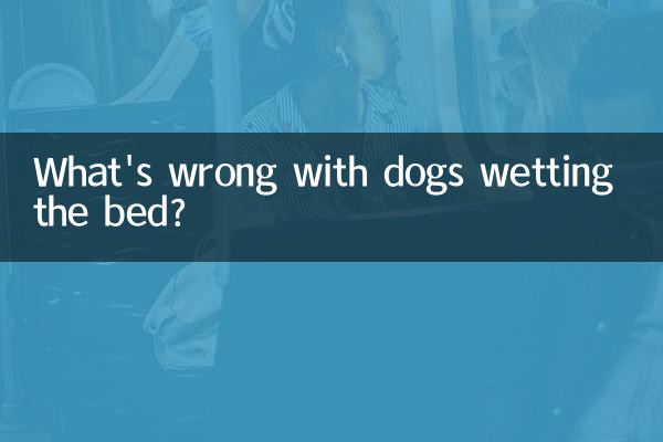 犬がおねしょをして何が悪いの？
