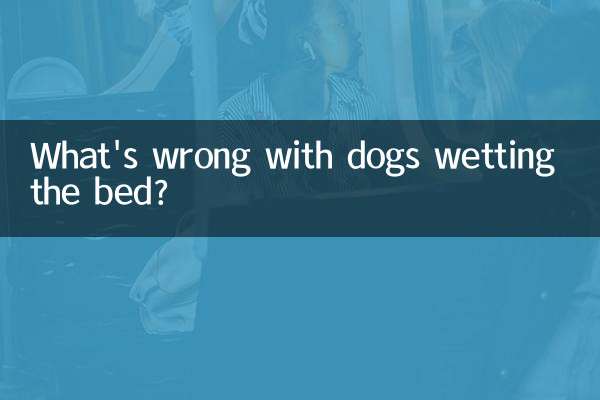 犬がおねしょをして何が悪いの？