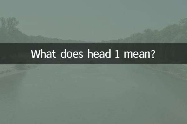 1등은 무슨 뜻인가요?