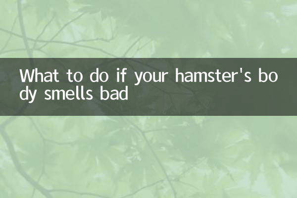 What to do if your hamster's body smells bad