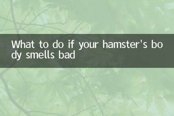 仓鼠身体臭怎么办