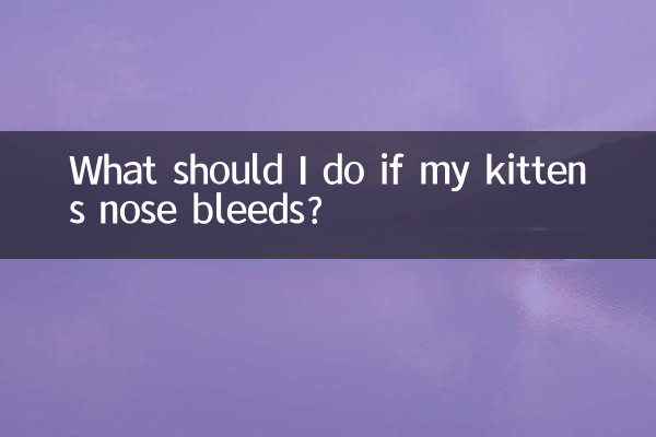 ¿Qué debo hacer si a mi gatito le sangra la nariz?