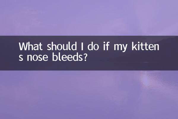 子猫が鼻血を出した場合はどうすればよいですか?