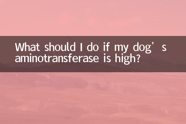 O que devo fazer se a aminotransferase do meu cão estiver alta?