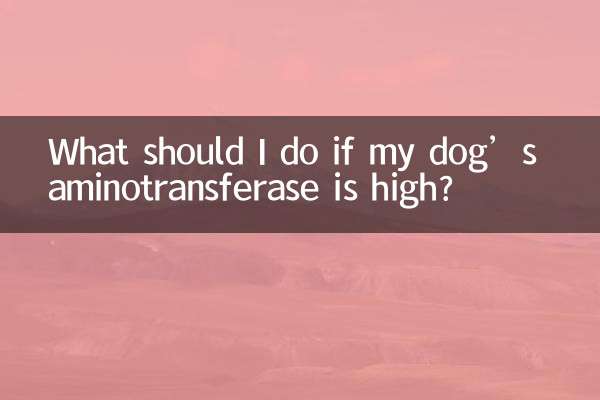 狗转氨酶高怎么办