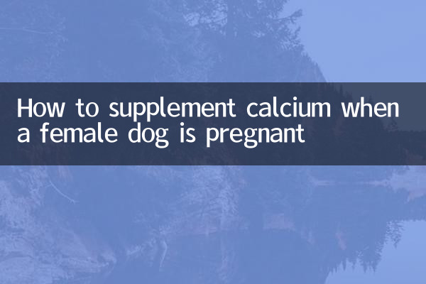 How to supplement calcium when a female dog is pregnant