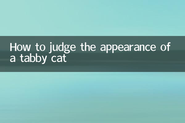 So beurteilen Sie das Aussehen einer getigerten Katze