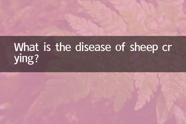 Чем болен плач овец?