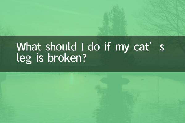 ¿Qué debo hacer si a mi gato se le rompe la pata?